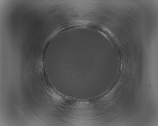 X0000070171354200605261145