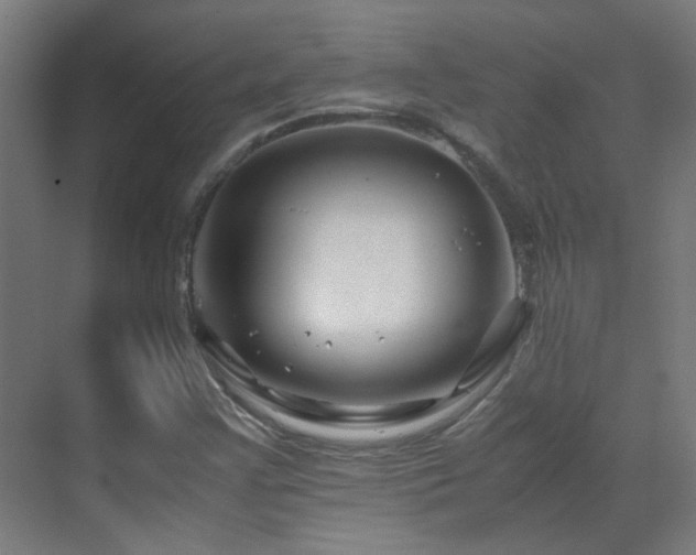 X0000070171355200605261145