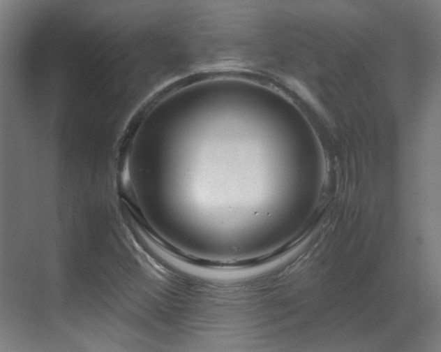 X0000070171356200605261145
