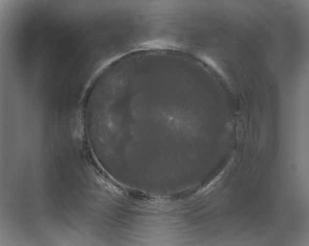 X0000070171358200605261145