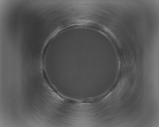 X0000070171362200605261145