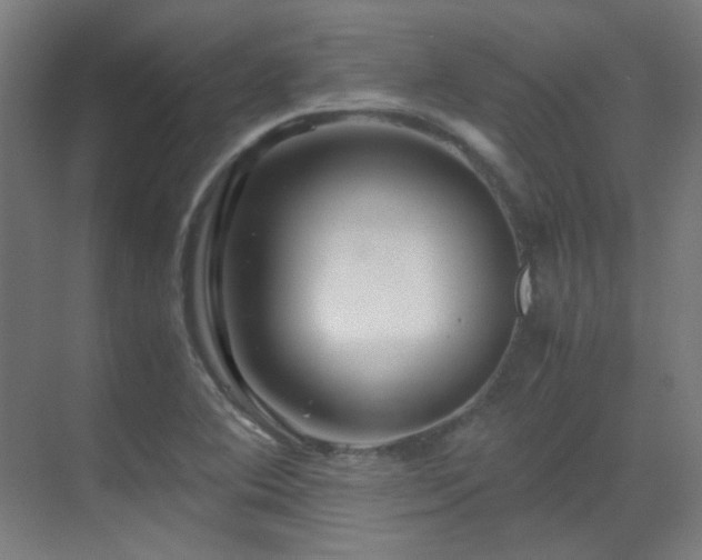 X0000070171364200605261145