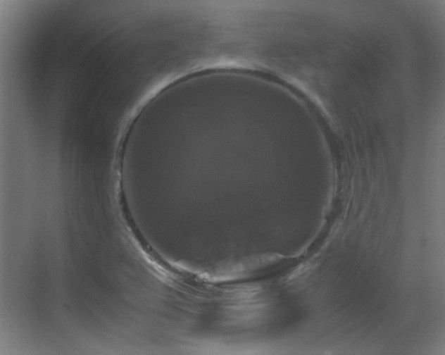 X0000070171367200605261145