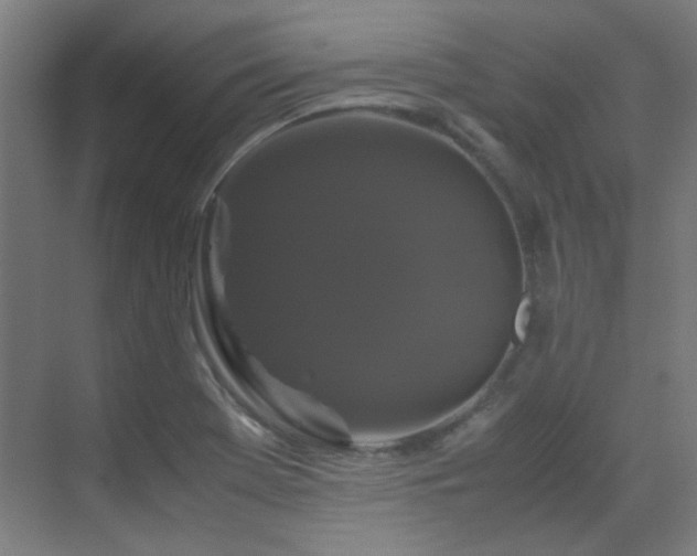 X0000070171369200605261145