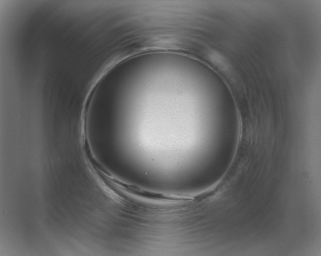 X0000070171370200605261145