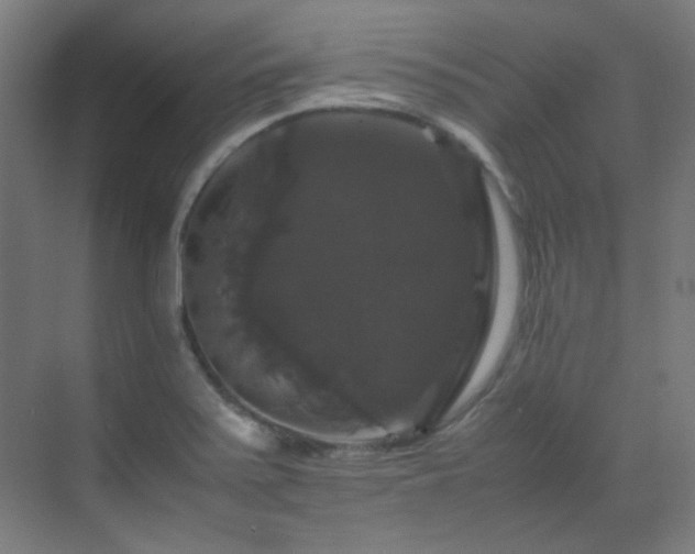 X0000070171371200605261145