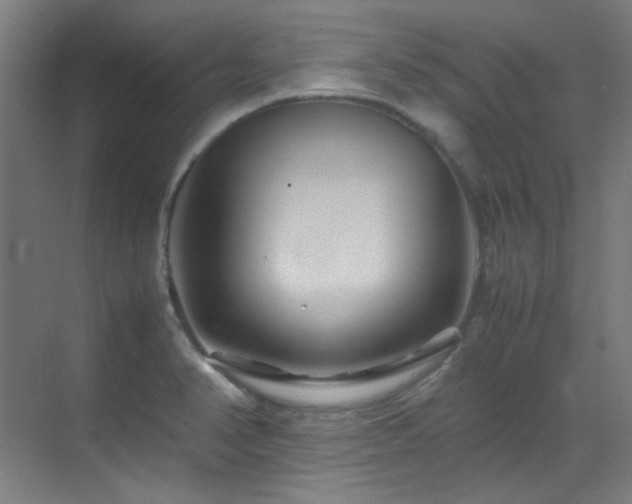 X0000070171374200605261145