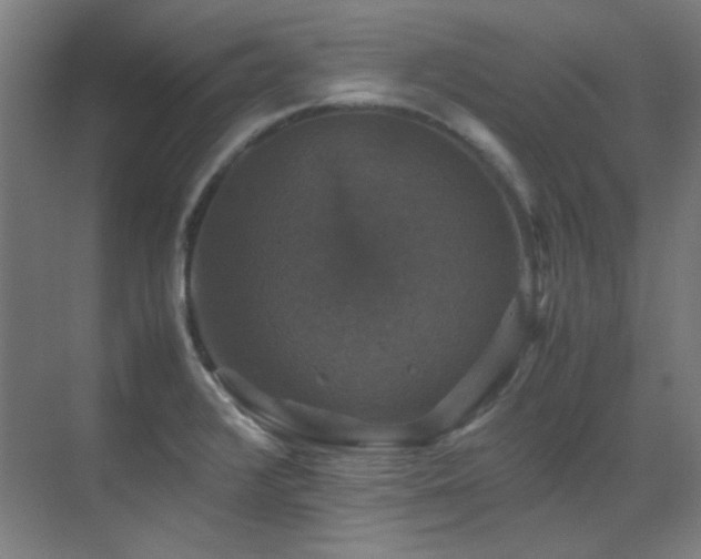 X0000070171376200605261145