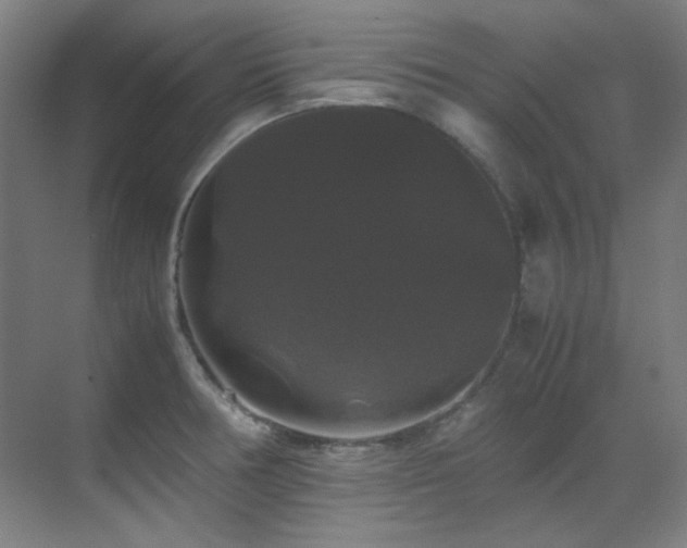 X0000070171378200605261145
