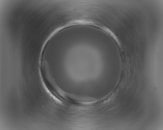 X0000070171381200605261144