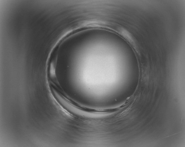 X0000070171384200605261144