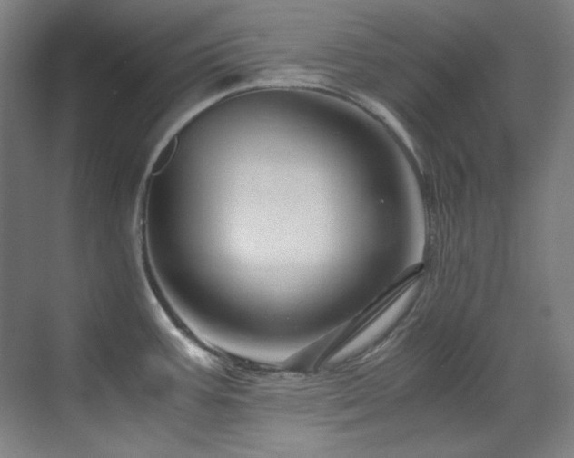 X0000070171387200605261144