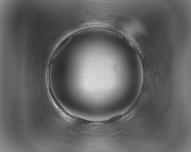 X0000070171391200605261144