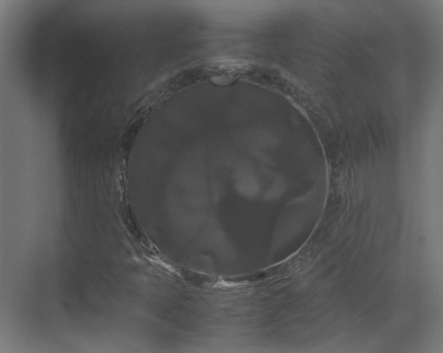 X0000070171397200605261144