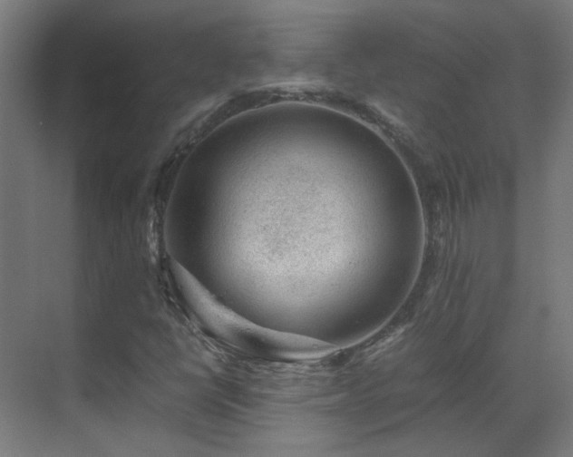 X0000070171398200605261144