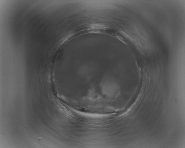 X0000070171401200605261144
