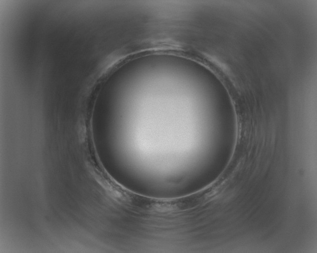 X0000070171407200605261144