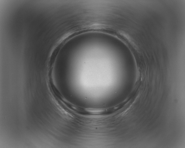 X0000070171410200605261144