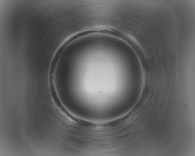 X0000070171412200605261144
