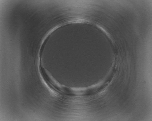 X0000070171418200605261144