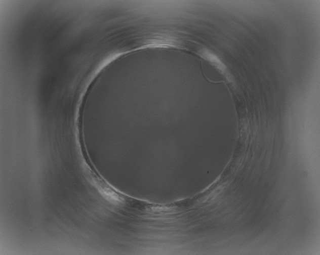 X0000070171427200605261144