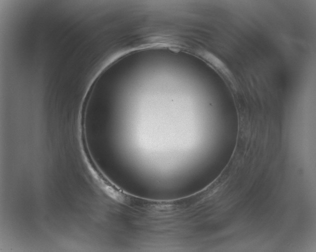 X0000070171431200605261144