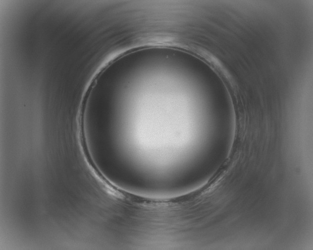 X0000070171432200605261144