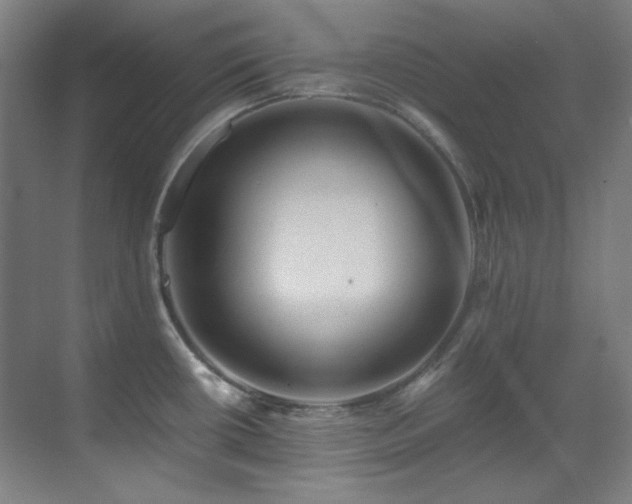 X0000070171434200605261144