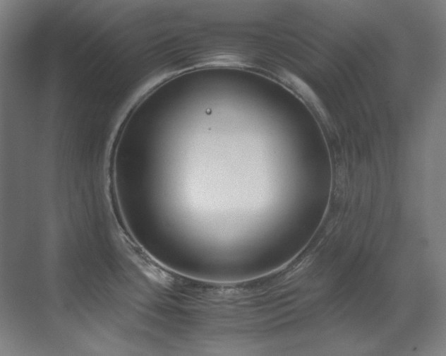 X0000070171435200605261144