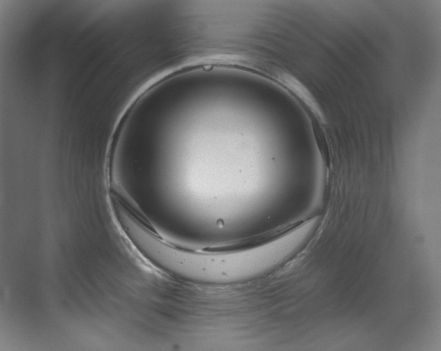 X0000070171436200605261144