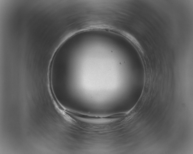 X0000070171439200605261144