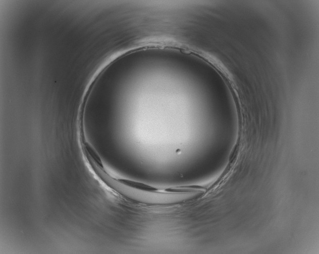 X0000070171440200605261144