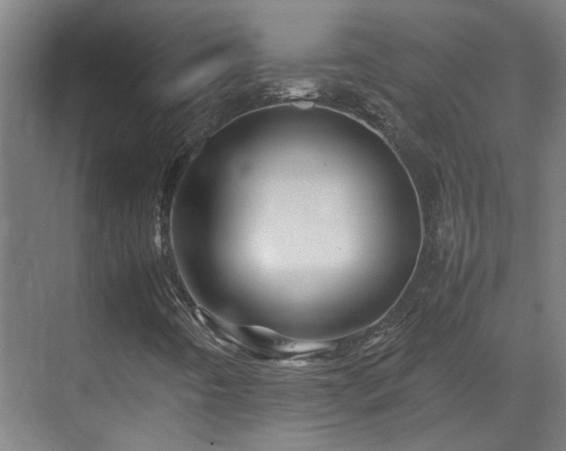X0000070171442200605261143