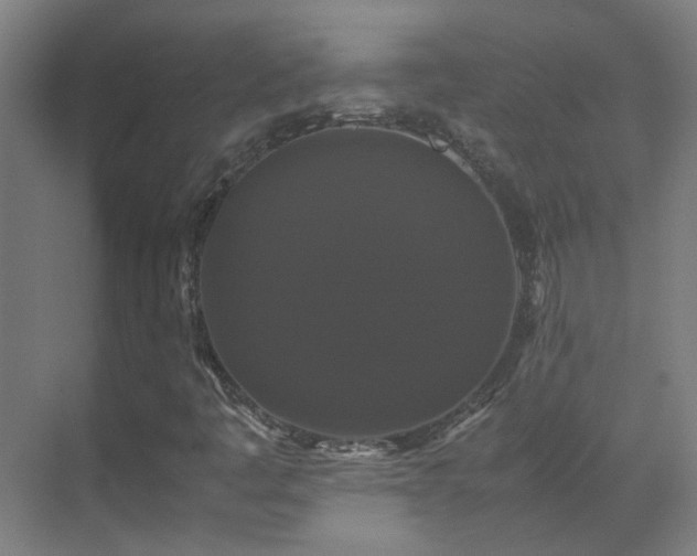 X0000070171445200605261143