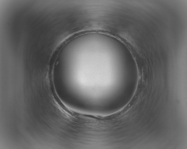X0000070171452200605261143