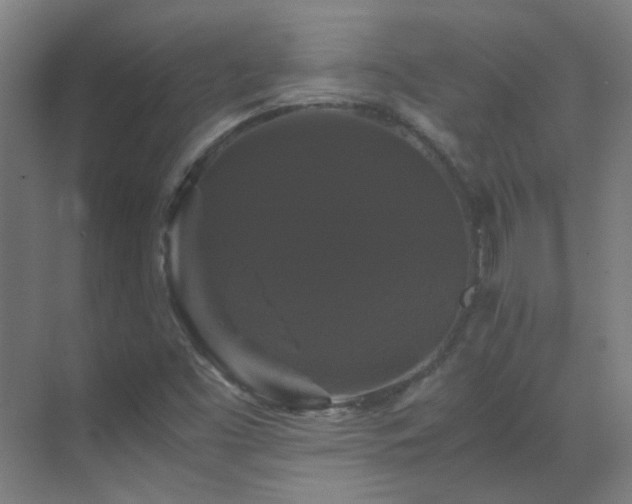 X0000070171453200605261143
