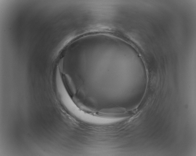 X0000070171455200605261143