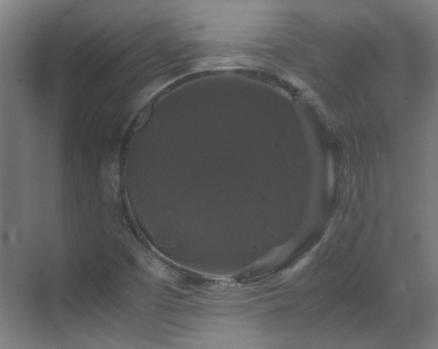 X0000070171457200605261143