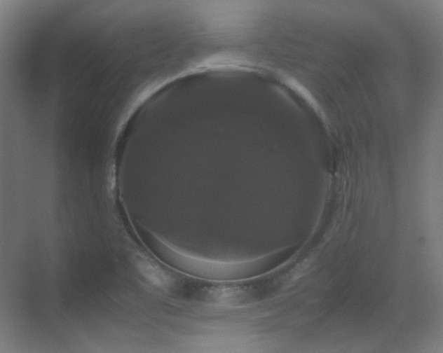 X0000070171461200605261143