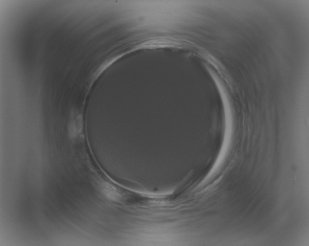X0000070171465200605261143