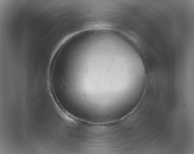 X0000070171470200605261143