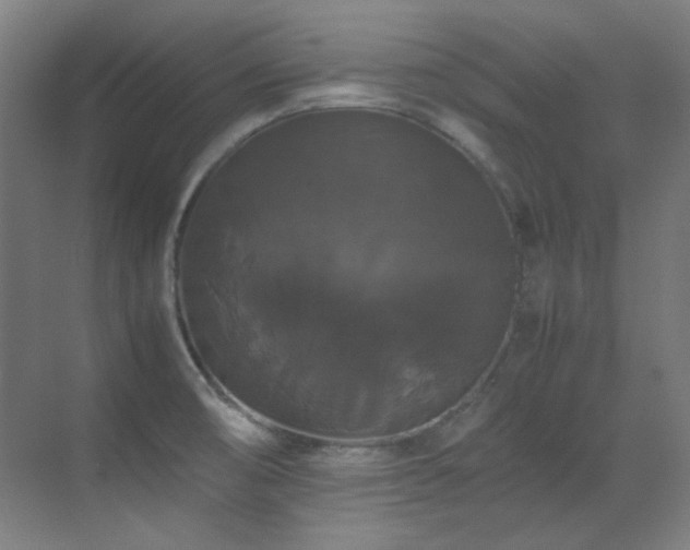 X0000070171474200605261143