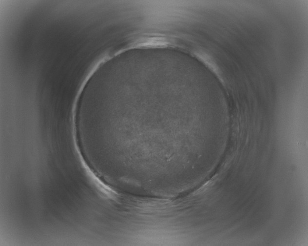 X0000070171475200605261143