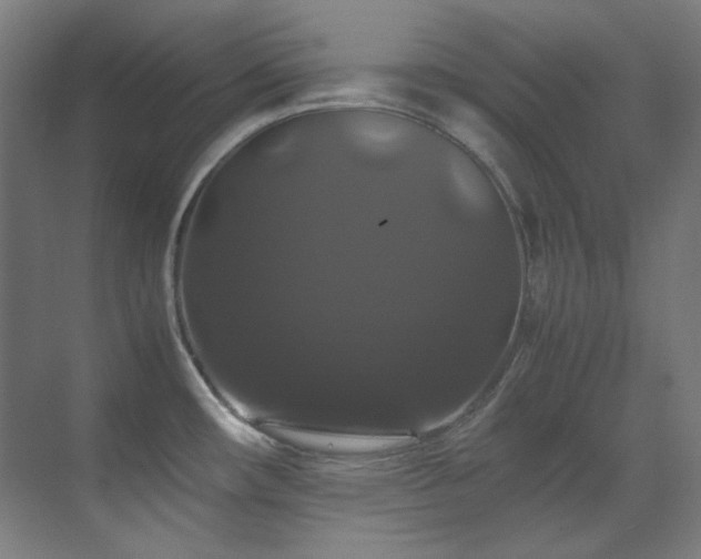 X0000070171482200605261143