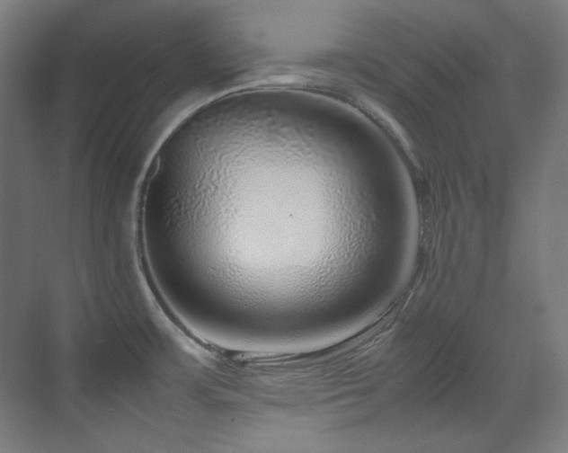 X0000070171483200605261143