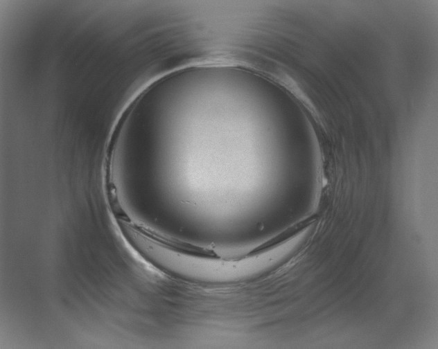 X0000070171484200605261143
