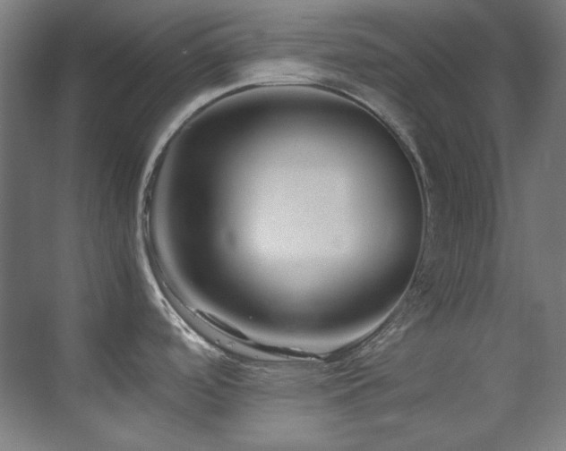 X0000070171488200605261143