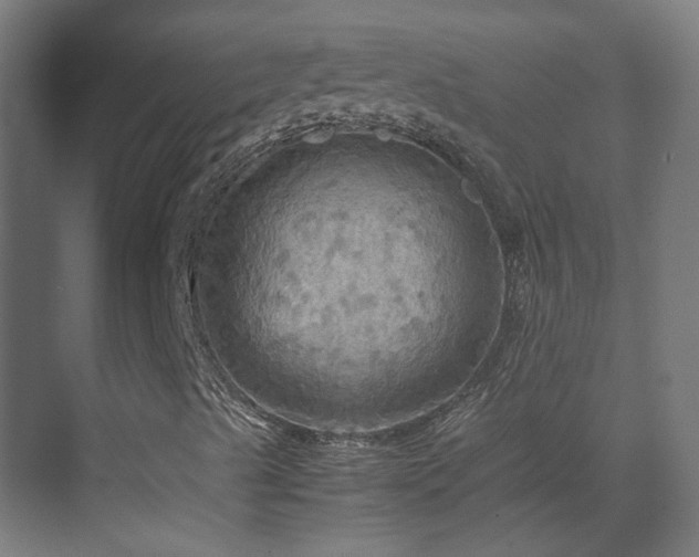 X0000070171489200605261142