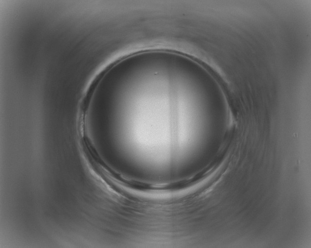 X0000070171510200605261142