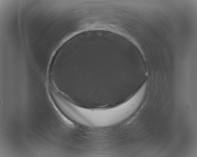 X0000070171525200605261142